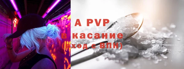ГАЛЛЮЦИНОГЕННЫЕ ГРИБЫ Горно-Алтайск