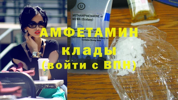 ГАЛЛЮЦИНОГЕННЫЕ ГРИБЫ Горно-Алтайск