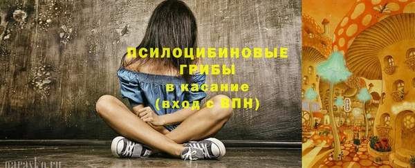ГАЛЛЮЦИНОГЕННЫЕ ГРИБЫ Горно-Алтайск