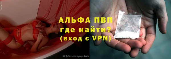 ГАЛЛЮЦИНОГЕННЫЕ ГРИБЫ Горно-Алтайск