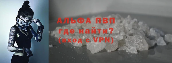 ГАЛЛЮЦИНОГЕННЫЕ ГРИБЫ Горно-Алтайск
