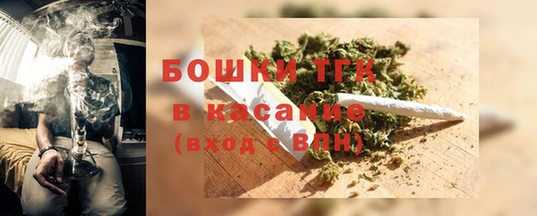 ГАЛЛЮЦИНОГЕННЫЕ ГРИБЫ Горно-Алтайск